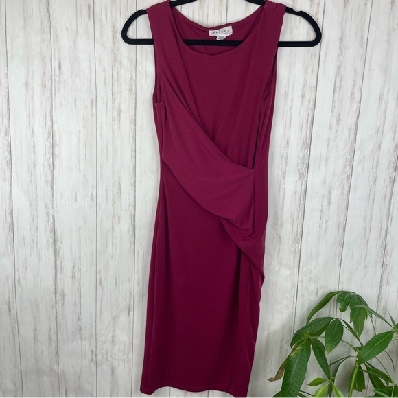 Anthropologie Velvet by Graham & Spencer raspberry dress - Picture 1 of 5
